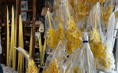 Palmes i palmons de la botiga Masclans 